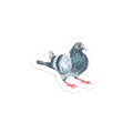 Pigeon Sticker – Squat