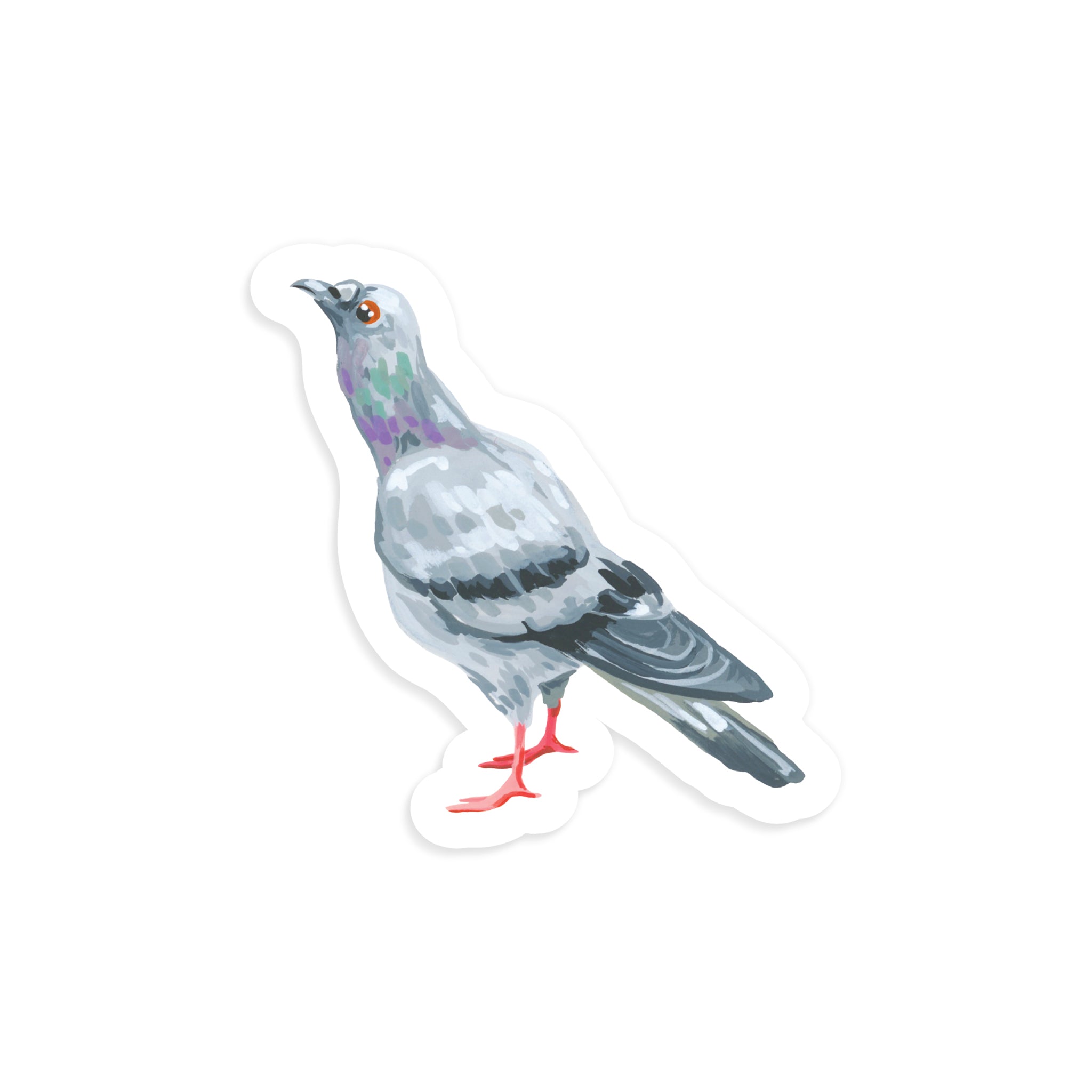 Pigeon Sticker – Nosey