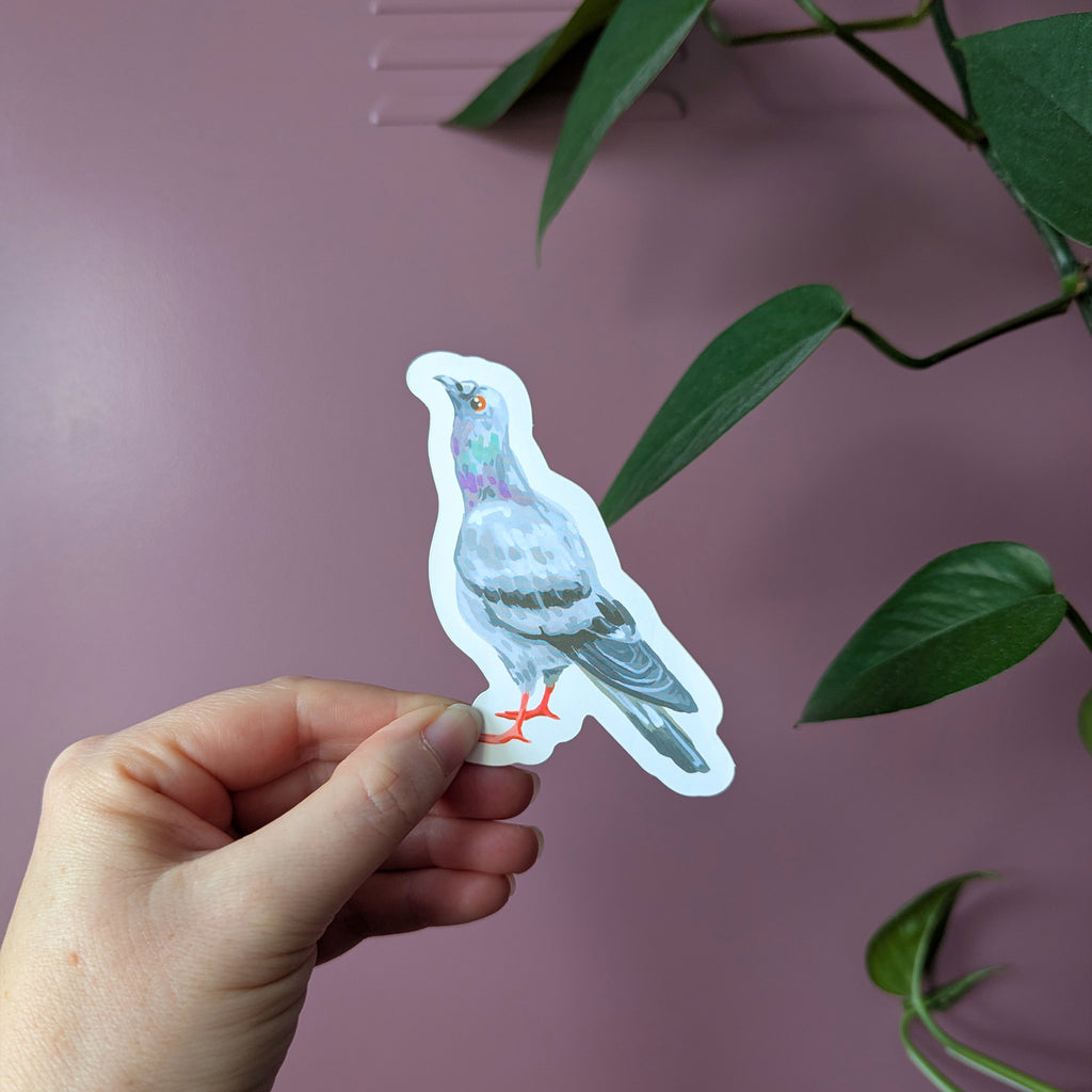 Pigeon Sticker – Nosey