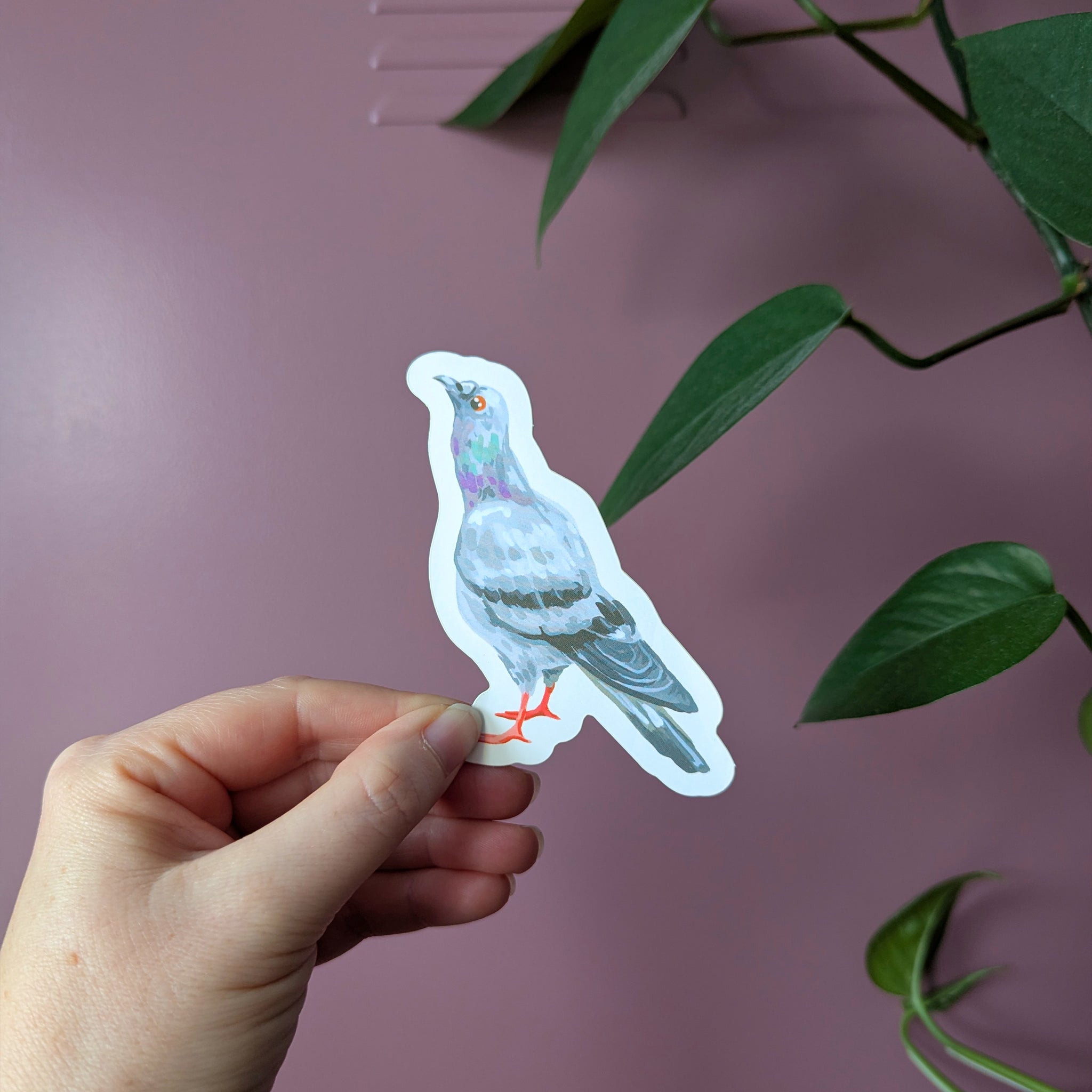 Pigeon Sticker – Nosey