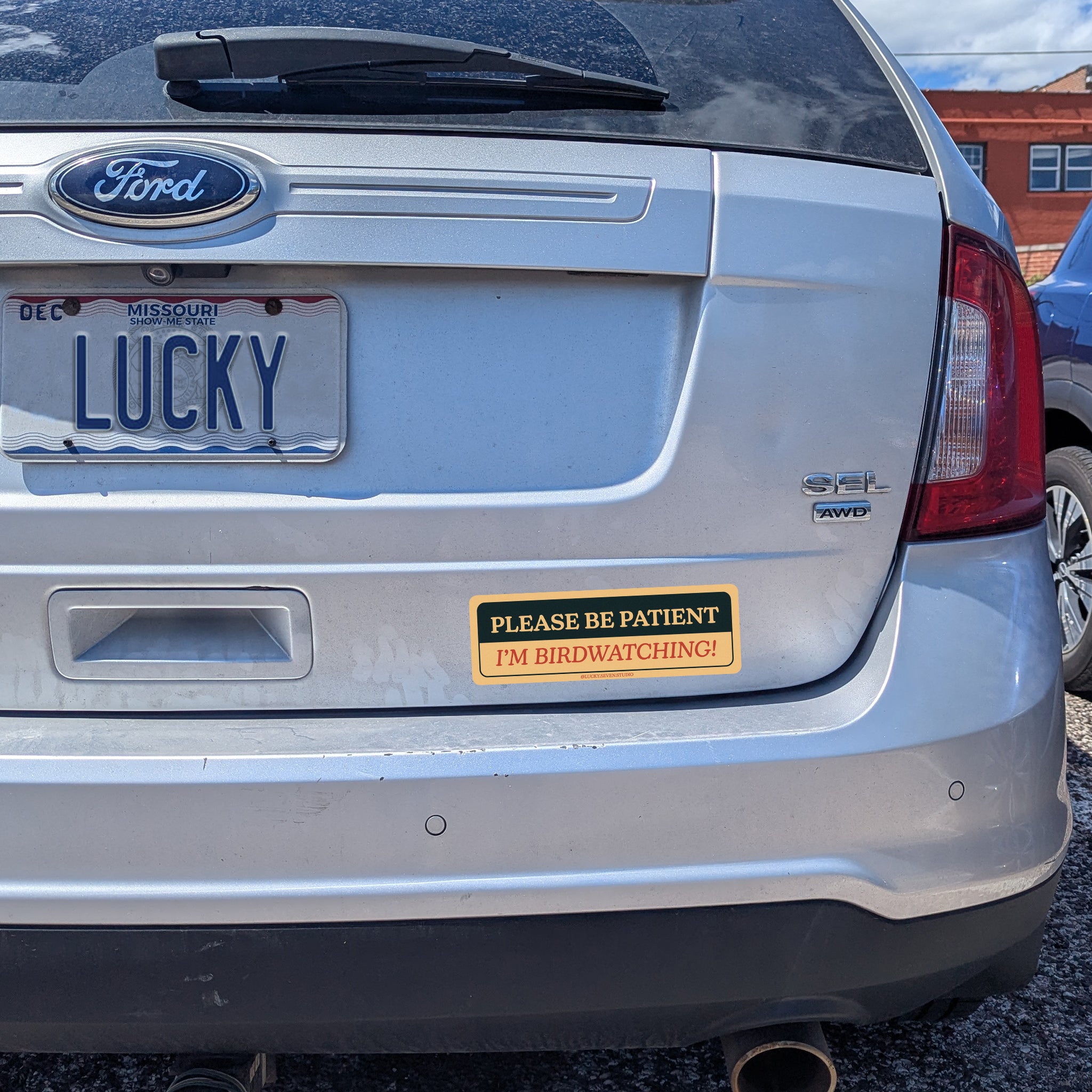 Birdwatching Bumper Sticker